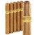 Rocky Patel Connecticut Toro (6.0"x52) Pack of 5