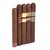 Rocky Patel 5-Star Sampler 5 Cigars
