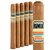 Remix Frosted Daydream Corona (6.0"x44) Pack of 5