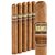 Remix Cocoa Eclipse Corona (6.0"x44) Pack of 5