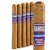 Remix Purple Whirl Corona (6.0"x44) Pack of 5