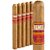 Remix Wild Orchard Corona (6.0"x44) Pack of 5