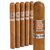 Rocky Patel Autumn Collection Churchill (7.0"x50) Pack of 5