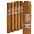 Rocky Patel Autumn Collection Churchill (7.0"x50) Pack of 5