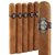 Sancho Panza Glorioso (Toro) (6.1"x50) Pack of 5