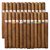 Tatiana Mega-Sampler 24 Cigars