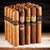 Torano Family Reunion Mega-Sampler 20 Cigars
