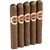 Tatuaje Tattoo Caballero (Robusto) (5.0"x50) Pack of 5