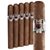 Asylum Toro (6.0"x50) Pack of 5