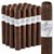 Villazon Maduro Robusto (5.0"x54) Pack of 20