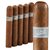 Warped Edition One Cloud Hopper No. 485 (Robusto) (5.0"x48) Pack of 5