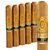 Perdomo Reserve Champagne Robusto (5.0"x54) Pack of 5