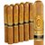 Perdomo Reserve Champagne Epicure (Toro) (6.0"x54) Pack of 10