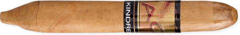ACID Ltd. Series Kindred Spirit Connecticut Perfecto (6.0"x54) Pack of 5