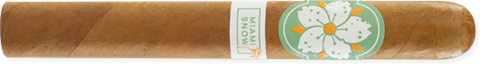 Room101 Miami Snow Toro (0.0"x0) Single